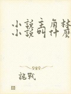 小说主角林天的小说叫什么名字