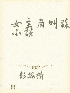 女主角叫苏月的小说