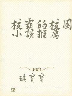 校霸的校园甜宠小说推荐封面