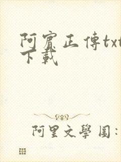 阿宾正传txt下载