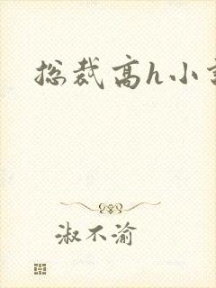 总裁高h小说