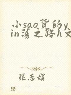 小sao货的yin荡之路h文