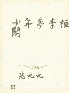 少年梦李桓笔趣阁