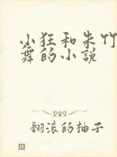 小狂和朱竹清小舞的小说