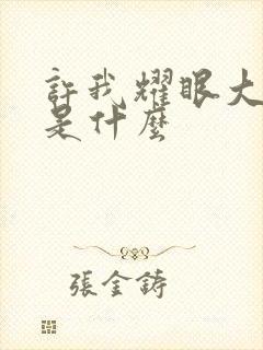 许我耀眼大结局是什么