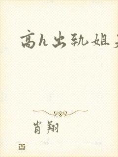 高h出轨姐夫封面