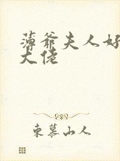薄爷夫人好像是大佬封面