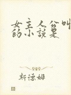女主人公叫苏晴的小说是