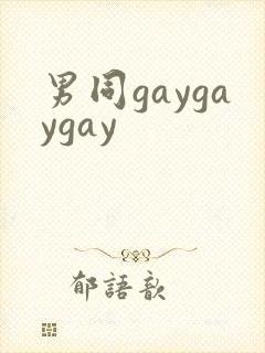 男同gaygaygay