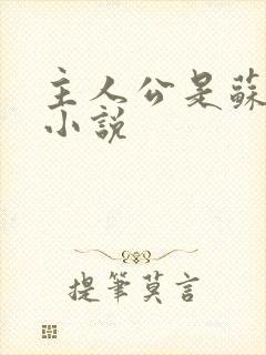 主人公是苏晨的小说封面
