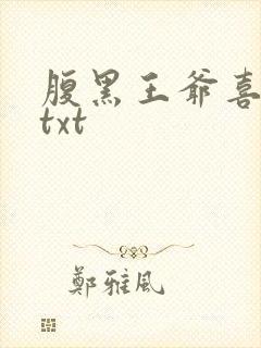 腹黑王爷喜当爹txt