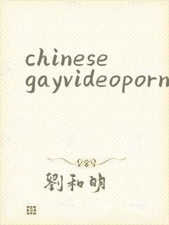 chinesegayvideoporn