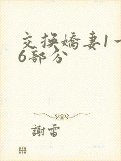 交换娇妻1一36部分