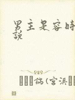 男主是容时的小说