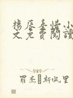 杨辰秦惜小说全文免费阅读最新章节更新