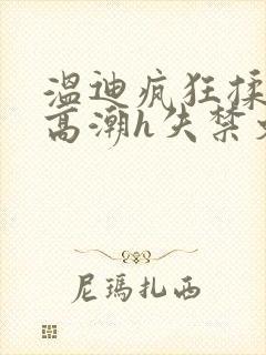温迪疯狂揉肉蒂高潮h失禁文