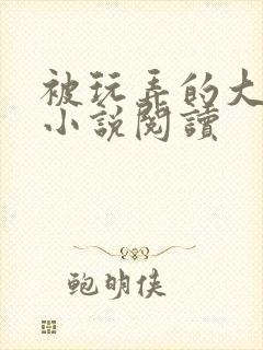 被玩弄的大小姐小说阅读封面