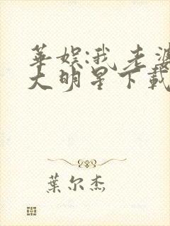 华娱:我老婆是大明星下载txt全文