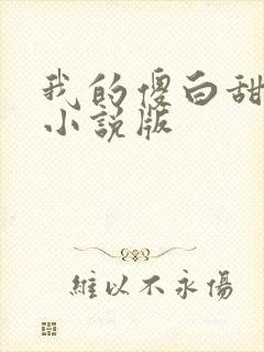 我的傻白甜老婆小说版
