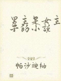 男主是女主小叔子的小说封面