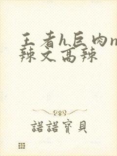 王者h巨肉np辣文高辣