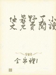 他最野了小说全文免费阅读
