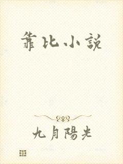 靠比小说
