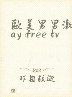欧美男男激情gay free tv封面