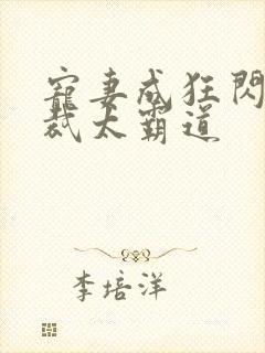 宠妻成狂闪婚总裁太霸道