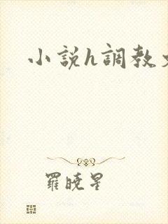 小说h调教文