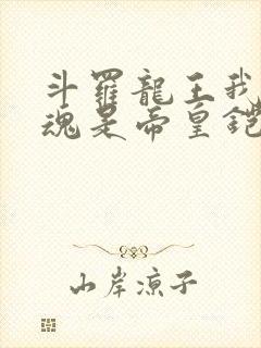 斗罗龙王我的武魂是帝皇铠甲笔趣阁