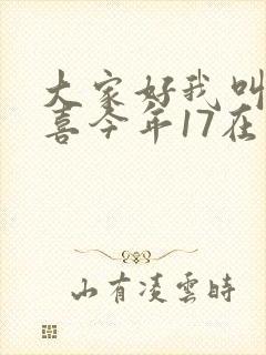大家好我叫林小喜今年17在线阅读
