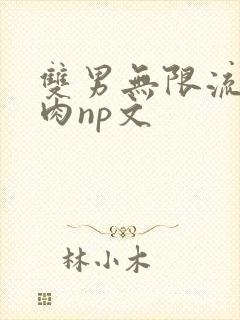 双男无限流h啪肉np文