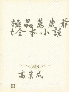 极品万岁爷txt全本小说