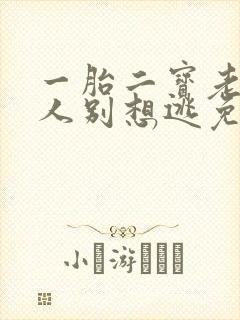 一胎二宝老婆大人别想逃免费阅读全文