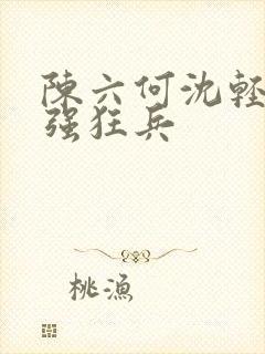 陈六何沈轻舞最强狂兵