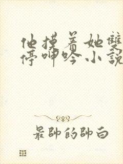 他摸着她双乳不停呻吟小说