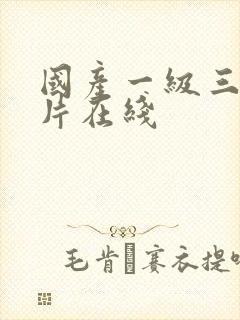 国产一级三级淫片在线