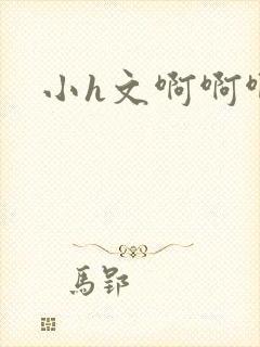 小h文啊啊啊封面