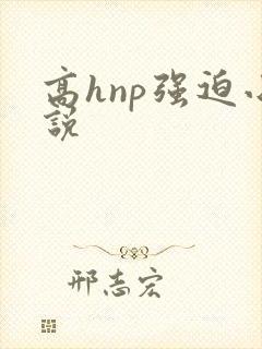 高hnp强迫小说