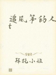 追风筝的人txt