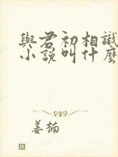 与君初相识原著小说叫什么