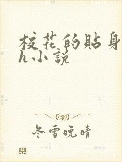 校花的贴身高手h小说