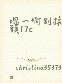 嗯～啊别揉我奶头17c封面