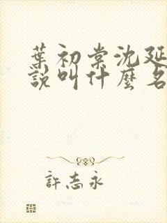 叶初棠沈延川小说叫什么名字