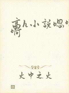 高h小说嗯啊嗯啊封面