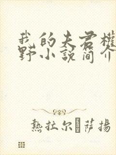 我的夫君权倾朝野小说简介
