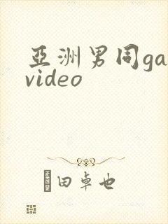 亚洲男同gayvideo