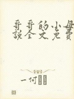 哥哥的小母狗小说全文免费阅读笔趣阁