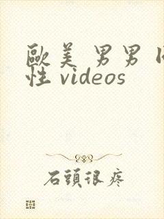 欧美 男男 同性 videos